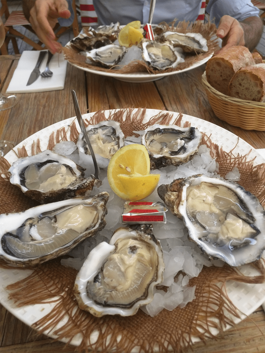 モンペリエの海は牡蠣の一大産地。3年モノというこの牡蠣はホントにおいしかった…。フランスも食事が美味しいのが、食いしん坊サイクリストには嬉しいところ。