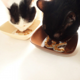 口コミ:ねこえさの画像(6枚目)