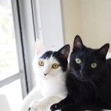 口コミ:ねこえさの画像(1枚目)