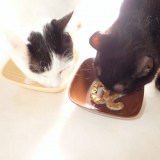 口コミ:ねこえさの画像(7枚目)