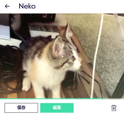 Magistoの保存画面