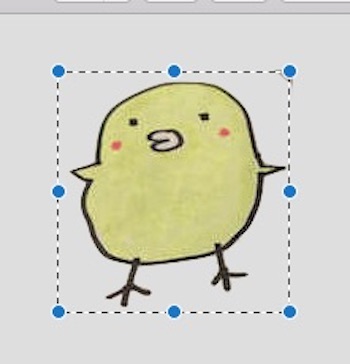 画像のトリミング