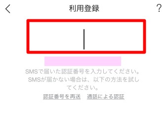 LINEの利用登録に戻し、暗証番号を入力