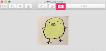 プレビューで写真を開き、真ん中上部のツールバーのボタンを押す
