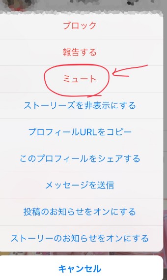 メニューからミュートを選択