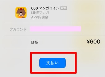 確認のメッセージで「支払い」をタップ