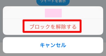「ブロックを解除」をタップ