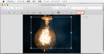 範囲が選択できたら、右側の切り取るボタンをクリック