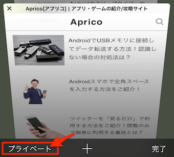 プライベートと書かれているボタンをタップ