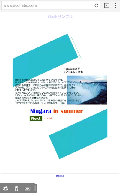 Puffin Web Browserはflashを再生できる