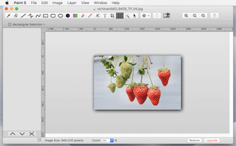 Paint Sの画像編集画面