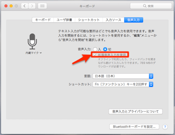 音声入力のチェックボックスをオンにする