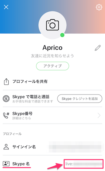 自分のIDとなるスカイプ名が表示