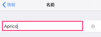 iPhoneの設定の一般の情報の名前設定画面