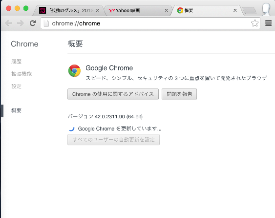 現在使っているChromeのバージョン情報が表示