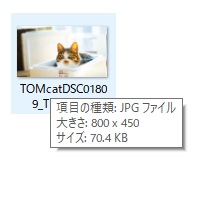 画像ファイルにマウスカーソルを載せた場合のヒント