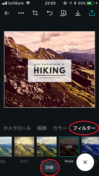 「詳細」ボタンをタップすることで、より細かい設定が可能