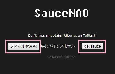 「ファイルを選択」ボタンをクリックして検索したいファイルを選択して「get sauce」ボタンをクリック