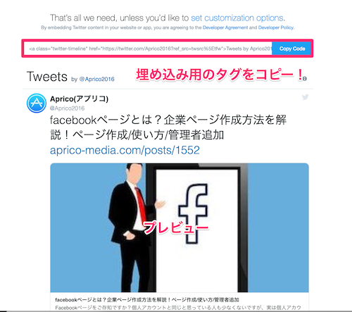タイムライン埋め込み用のタグ
