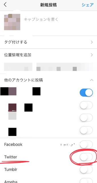 インスタグラムで投稿する直前のページ