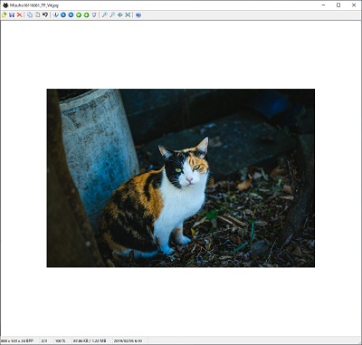 ウィンドウにファイルをドラッグ&ドロップすることで画像を表示