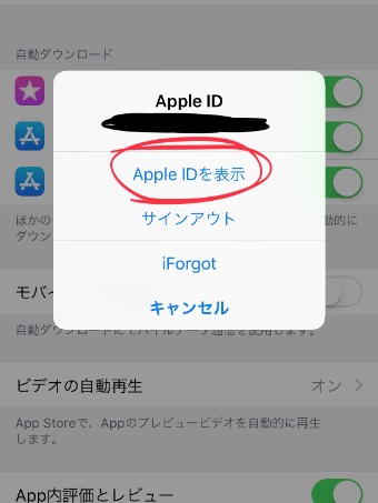 4つの項目の中の1番にある『Apple IDを表示』を選択