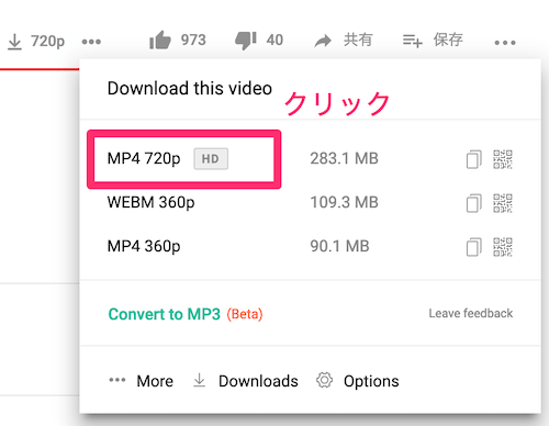 ダウンロードする形式の選択