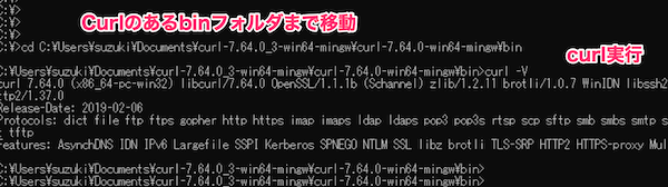 curlコマンド実行結果