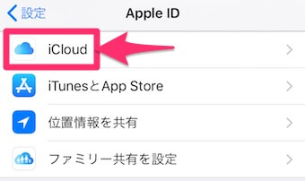 「iCloud」を選択