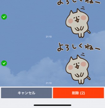 削除したいコンテンツにチェックを入れて「削除」をタップ
