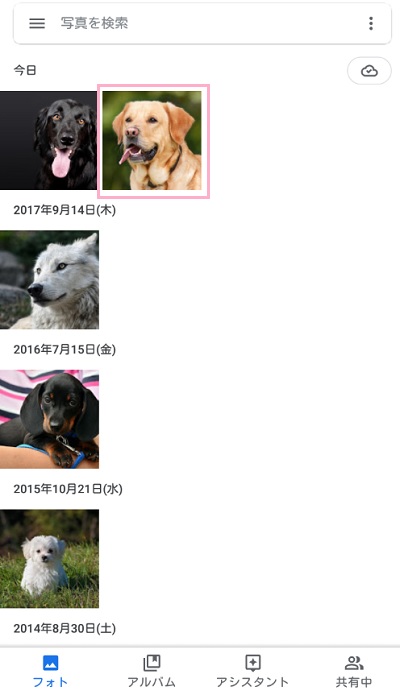 Googleフォトアプリを起動したら、ダウンロードしたい写真・動画をタップして選択