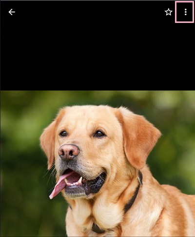 プレビュー画面が表示されるので、右上に表示されているメニューボタンをタップ