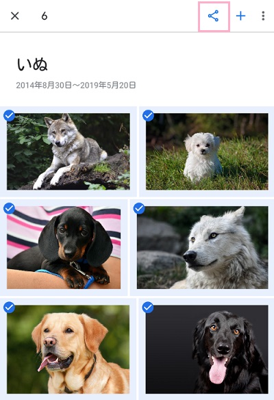 アルバム一覧で右上に表示されているメニューボタンをタップして「選択」しアルバム内の写真・動画をタップして全て選択し、共有ボタンをタップ