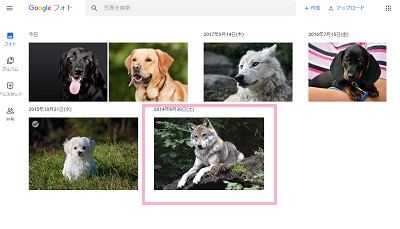 Googleフォトにアクセスしたら、ダウンロードしたい写真・動画をクリック