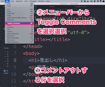 コメントしたい行にカーソルを合わせます。次に、メニューのEdit(編集)から「Toggle Comments(コメントの切り替え)」を選択