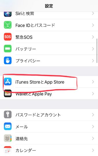 設定アプリの『iTunes StoreとApp Store』を選択