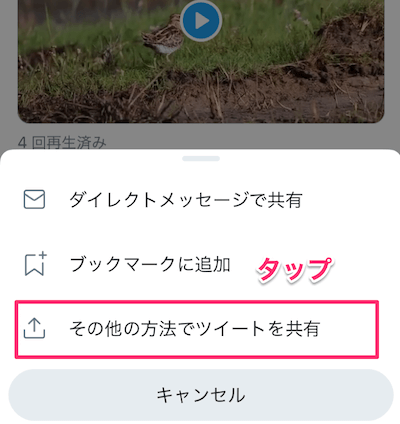 「その他の方法でツイートを共有」をタップ