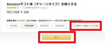 「1円単位で金額を入力」の部分に金額を入力して「次へ」をクリック