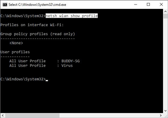 「netsh wlan show profiles」と入力し、「Enter」を押す