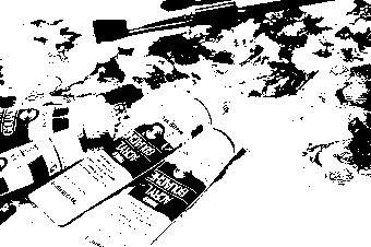 画像が白黒反転