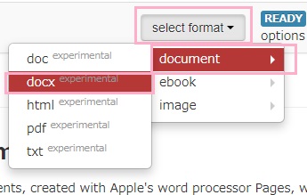「select format」から「document」→「docx」と選択して「Start Conversion」からファイルの変換