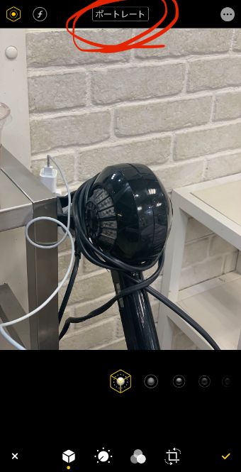 ポートレートモードが解除された画面