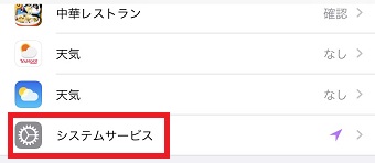 「システムサービス」をタップ