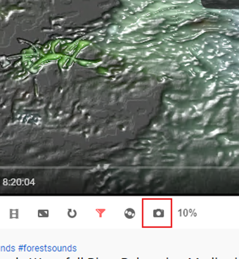カメラアイコンをクリックしてスクリーンショットする