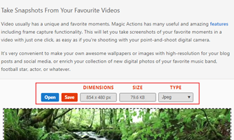 スクリーンオプションの保存オプションの表示