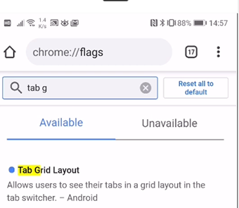 「Search flags」に"tab g"と入力して設定項目を絞り込む