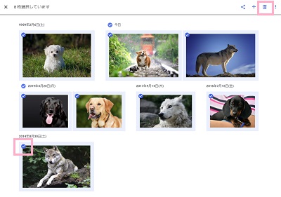 写真をCtrlキーを押しながらクリックして選択してごみ箱ボタンをクリック