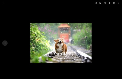 写真の詳細の画面