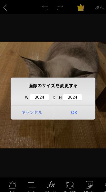 『PicsArt』では、切り抜き・『リサイズ』画面