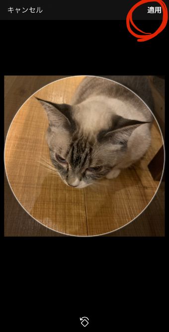 プロフィール写真を選び、『適用』をタップ